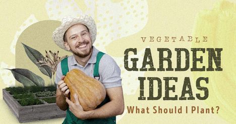 Vegetable Garden Ideas: What Should I Plant?
