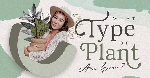 What Type of Plant Are You?