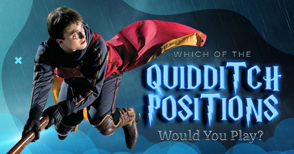 Which Of The Quidditch Positions Would You Play?