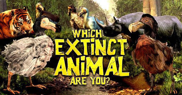 Which Extinct Animal Are You?