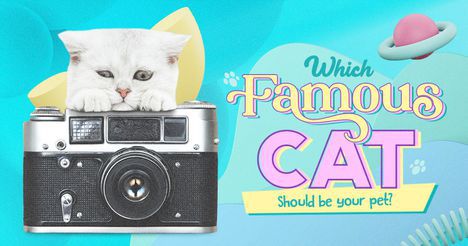 Which Famous Cat Should Be Your Pet?